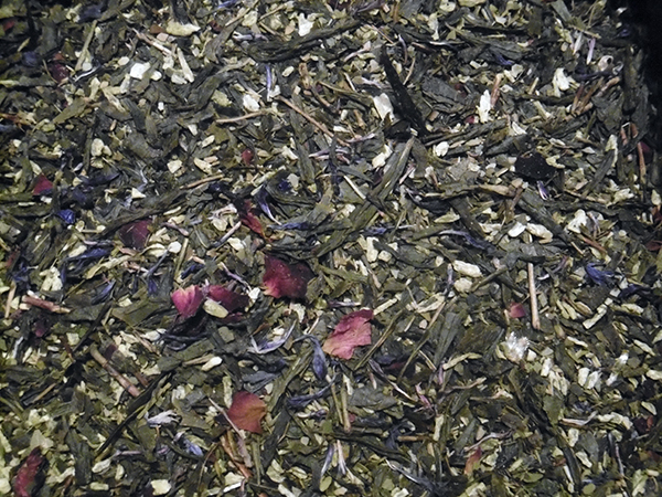 Sencha Lily-Rose